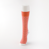 Sushi Socks Oke Gift Set (6 pairs)