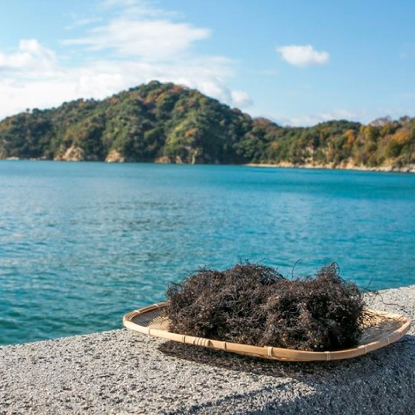 Amabito No Moshio Pot 10/8.81oz – WAZA NYC