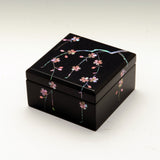 Lacquer Small Box (Raden)