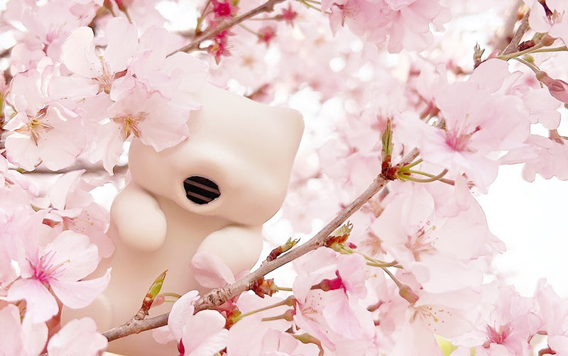Nekojita-FuFu | Sakura – WAZA NYC
