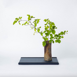 Kuboki Mini Tatami Dai