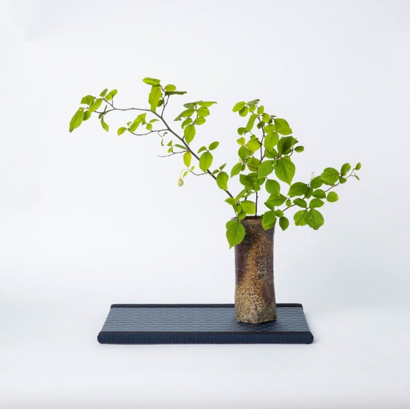 Kuboki Mini Tatami Dai – WAZA NYC
