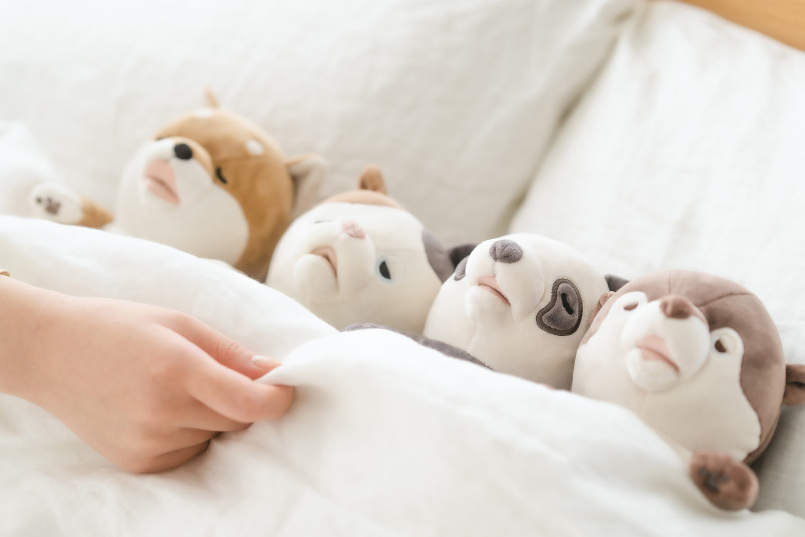AMAGAMI HAM HAM KURURI / Otter – WAZA NYC