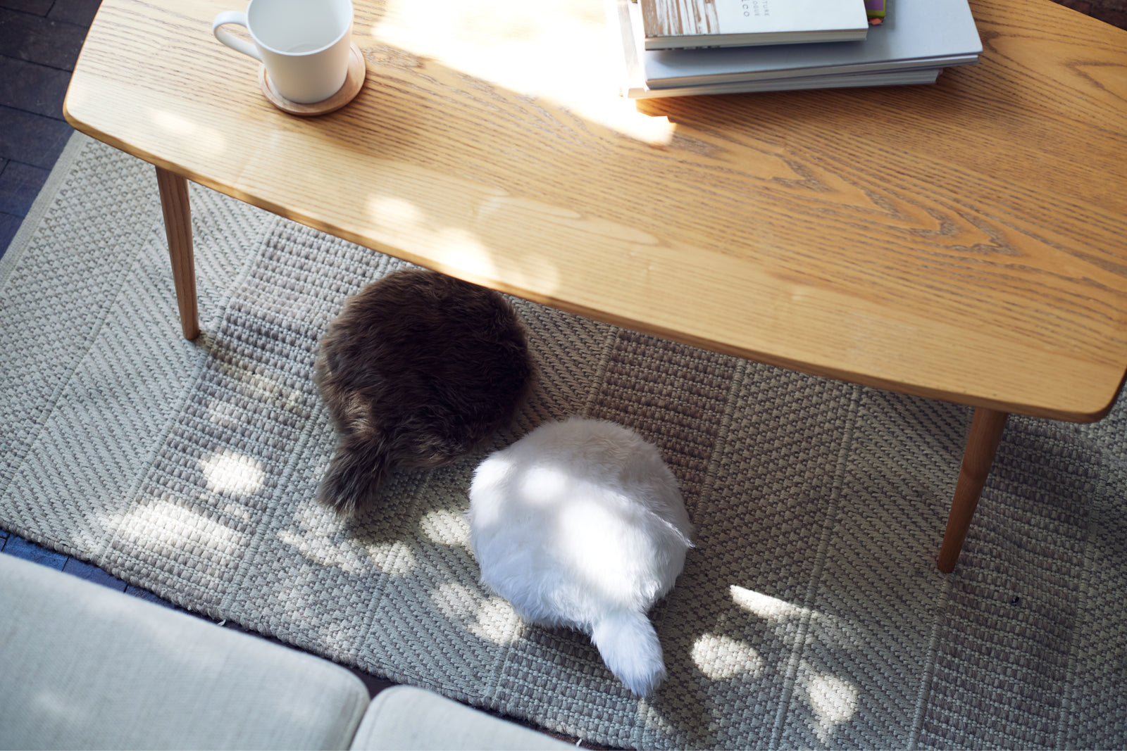 Petit Qoobo Marron – WAZA NYC