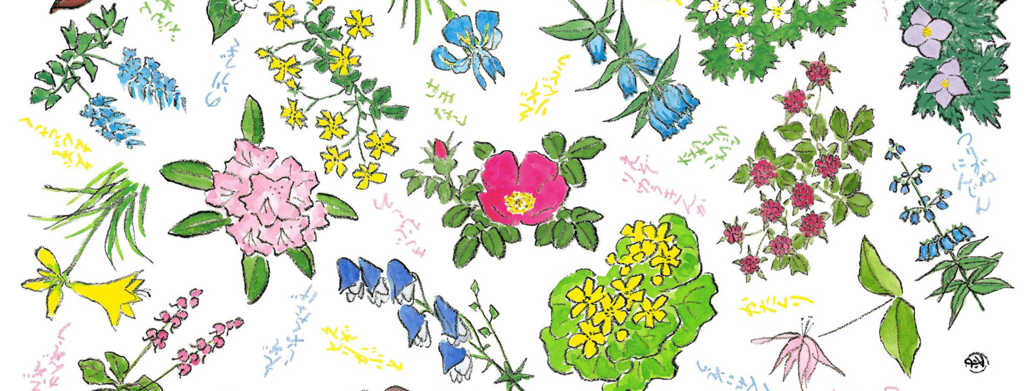ROKKATEI wrapping paper with wildflowers painted by Naoyuki Sakamoto
