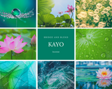 INCENSE KAYO | Lotus Flower (20 cones)