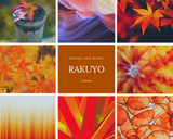 INCENSE RAKUYO | LEAF-FALL (20 cones)
