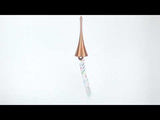 Wind Bell Horn Video for sound