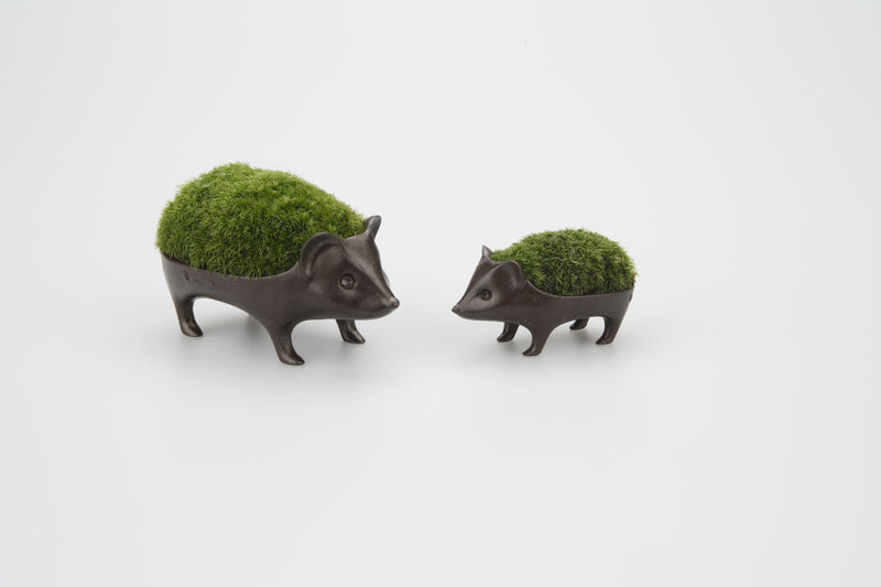 Moss Container Hedgehog Large and Small