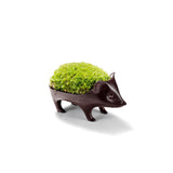 Moss Container Hedgehog Pup S